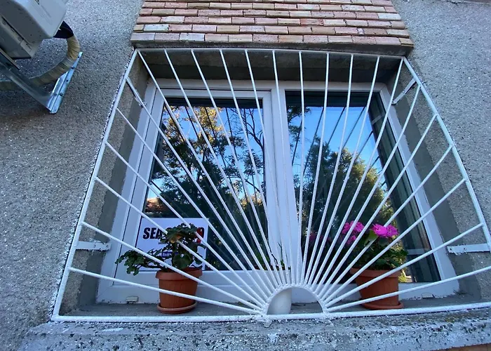 Sea コンスタンツァ